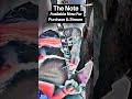 Purchase and listen to The Note (Life's Creation) on your favorite apps &amp; everywhere music is sold.