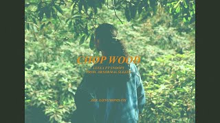 CHOP WOOD [part 1] visualiser BY LEELAA & LONGMAN Resimi