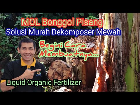 Cara Membuat Mol Bonggol Pisang