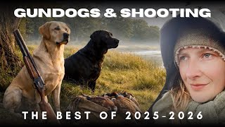 Best of the 2025–2026 Shooting Season | English Driven Pheasant & Duck | Gundogs in Action