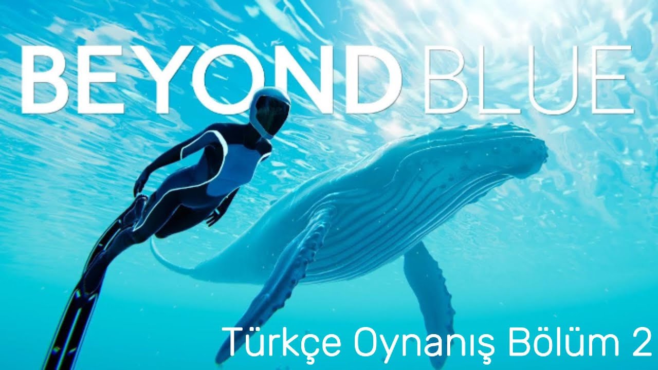 Bebek Balinaların Seslerini kaydediyoruz ! Beyond Blue Türkçe Oynanış Bölüm 2