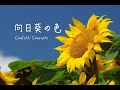 向日葵の色 GARNET CROW (Confetti Concertoカバー)