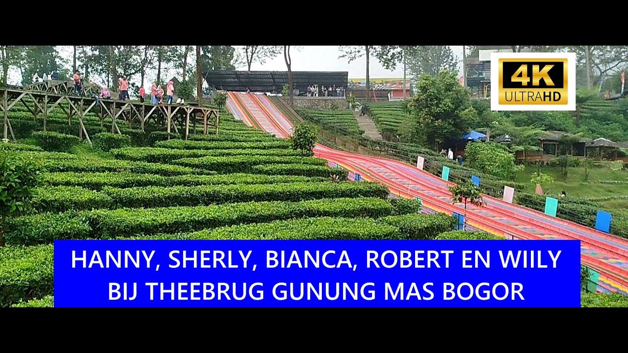 Tea Bridge TEA BRIDGE GUNUNG MAS BOGOR 4K CINEMATIC VIDEO - YouTube
