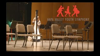 What is the Napa Valley Youth Symphony?