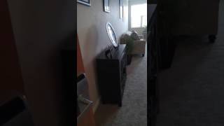 The Palisades at Broadmoor Park 1 bedroom