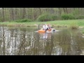 COOT goes for a swim