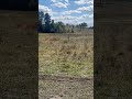 Dirt bike#ebikes#sports#funny#summernats#bathurst