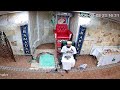 RAMADAN KAREEM Taraveeh 2026