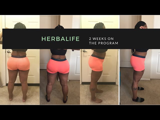 Decca Shots Every 2 Weeks Results Herbalife Results After 2 Weeks