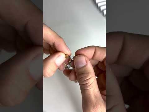 12 انسيال الدوائر الايطالي