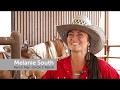Study natural horsemanship one course at a time at montana western