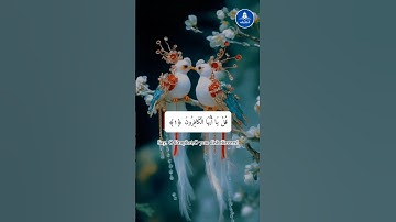 سورة الكافرون#الله #القرآن #فيروسي #فيديو فيروسي #فيديو فيروسي على يوتيوب #فيديو رائج #سورة الكافرون