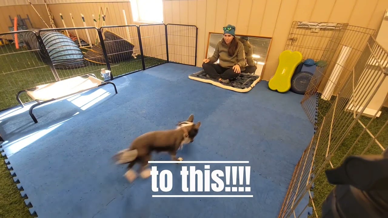 Toy Reinforcement Workshop Jan 2026