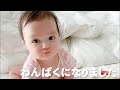 【アレク&のんちゃん】衝撃‼️生後8ヶ月の娘がわんぱくになりました‼️