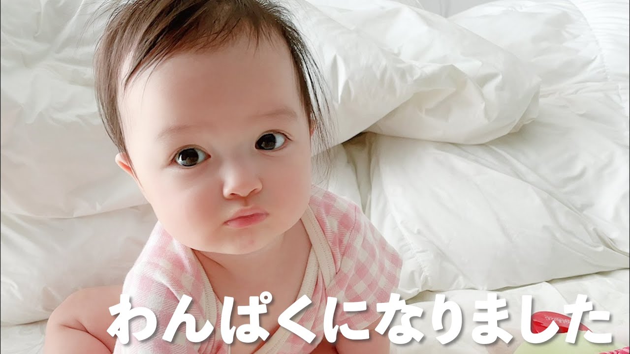 アレク のんちゃん 衝撃 生後8ヶ月の娘がわんぱくになりました Youtube