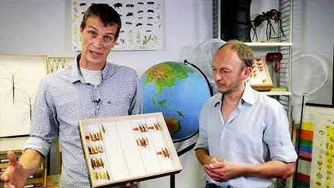 Taxonomy and Citizen Science: Documenting Biodiversity