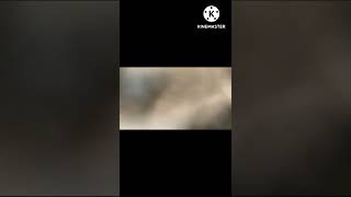 The Power of Explosives in never to be taken lightly, Slow motion#realhistorystore #shorts #shorts