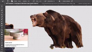 Photoshop- Advanced Selections