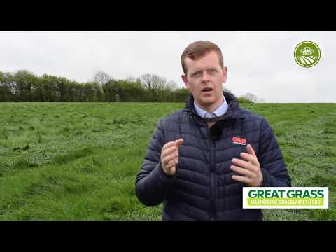 Advice on Dock Weed Control in grass by James Meade Glanbia