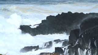 Peter Lynn SWELL teaser