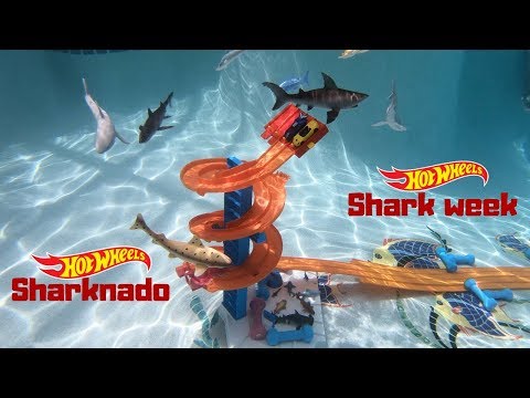 hot wheels pool day