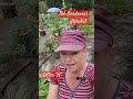 The Gardener's Alphabet.  Letter "H"    #garden #shorts #subscribe