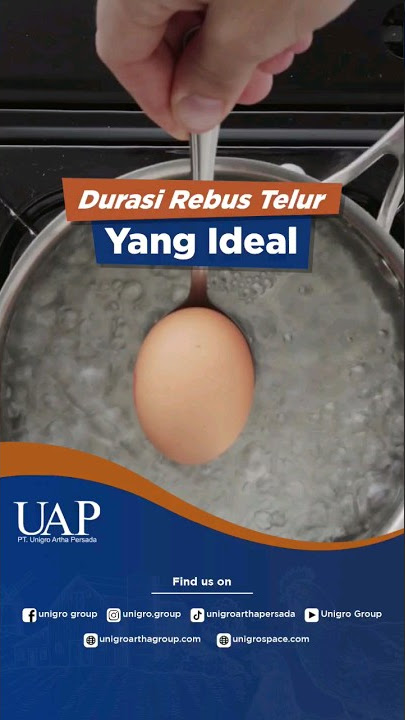 HOW LONG IS THE IDEAL TIME TO BOIL CHICKEN EGGS?
