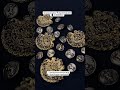 Antique finish brooch – ekdum Maharaja vibes 👑