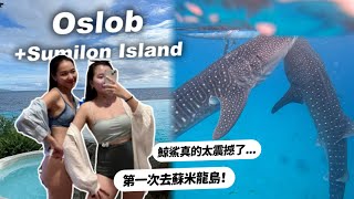鯨鯊共游超酷！跳島到蘇米龍、一島一飯店chill翻、菲律賓的海太藍了！（第二集）| Sumilon Island、Oslob Whale Shark Watching ep.2 🥽🐳🤿