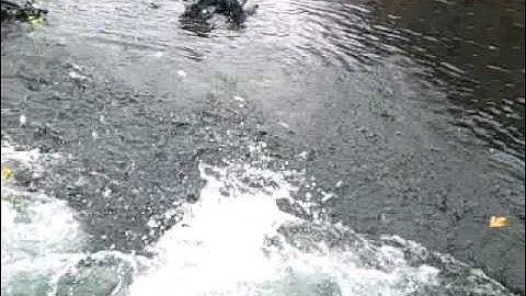 Giant Stride Scuba Entry at Guppy Gulch