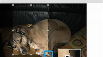 Custom Zuplo Email Stationery