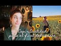 10 formas espirtuales de conectar con el fin del verano🌞