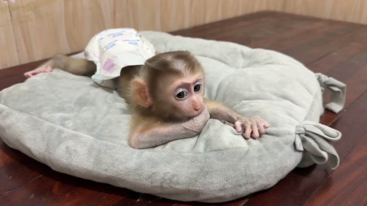 Good night 😘 sleep well and sweet dreams 😴 baby 