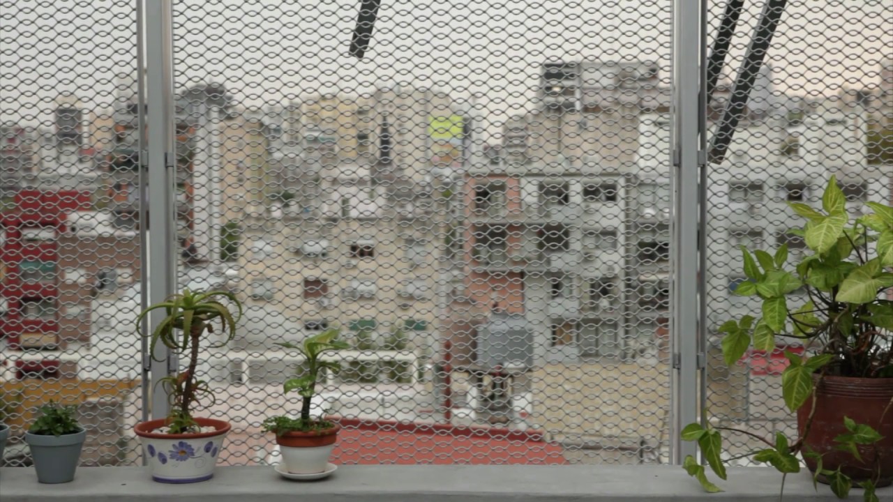 BAL2017 ADAMO FAIDEN