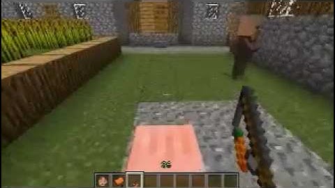 MINECRAFT : How To Control A Pig