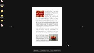 PDF files as interactive wallpaper
