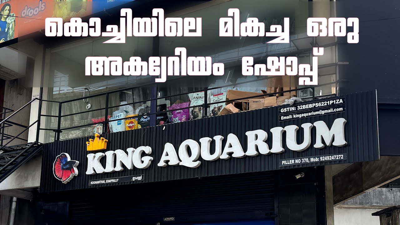 King aquarium Edappally | Store visit 