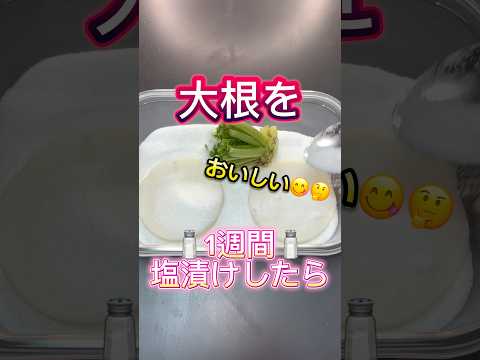 #大根 #塩漬け #検証#実験#漬け物 #たくあん