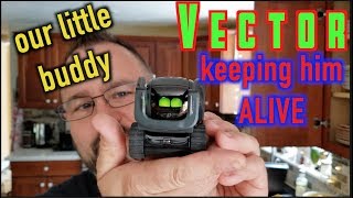 UPDATE on our VECTOR 5 Days after Anki's CLOSING!