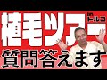 【重要】植毛ツアーinトルコ🇹🇷質問答えます‼️