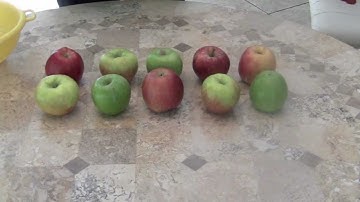 Counting Song for Children (1-10) Song Forward and Backward