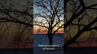 Луна скрылась в облаках. Затмение не увидел.. #рассвет #Канада