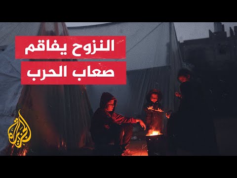آخر تطورات النازحين من شمال ووسط قطاع غزة إلى مدينة رفح