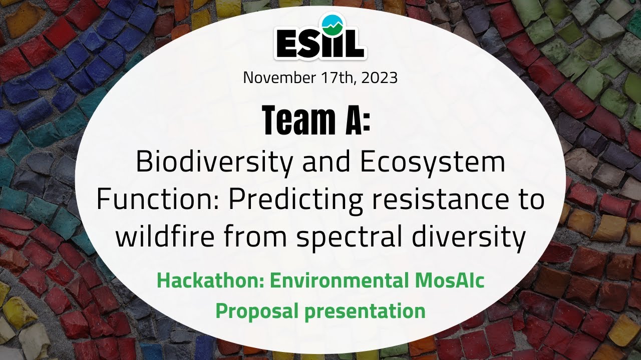 2023 Virtual Hackathon: Environmental MosAIc Team A Proposal ...