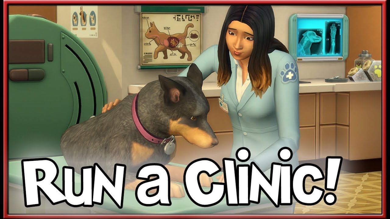 The Sims Info/Thoughts Vet Career, Pets NonControllable & More! YouTube