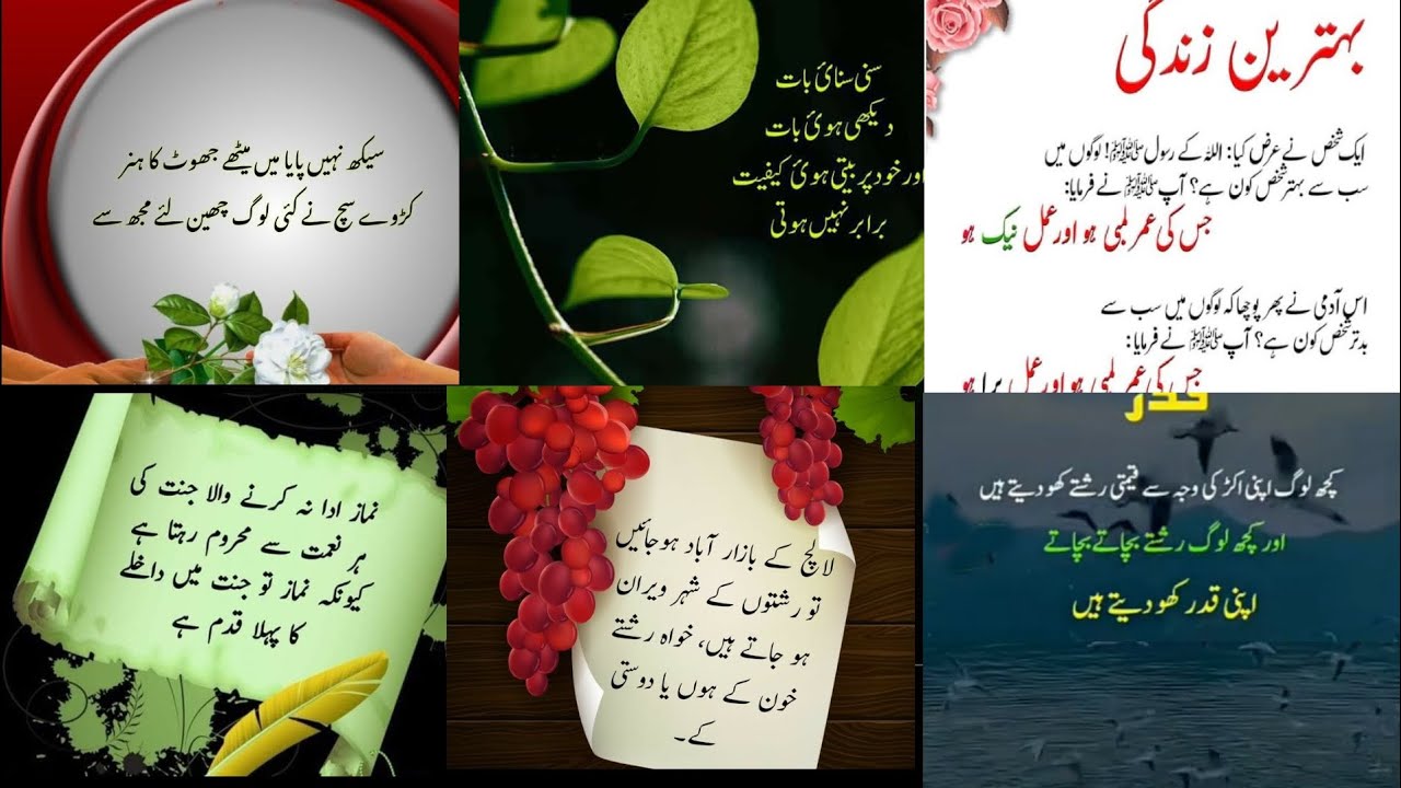 Best viral urdu quotes|golden words| life changing quotes|Nishat-e-fikr|islamic quotes. 
