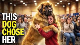 Download Lagu He Walked Past Everyone…Then This Dog Chose Her ❤️🐶😭 Adoption Tears MP3