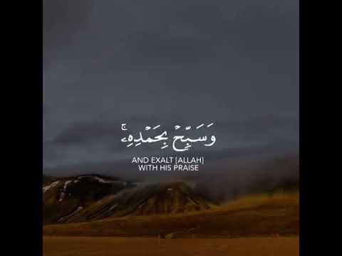 كلّ تجارة تحتاج إلى دراسة جدوى، لا التجارة مع الله؛ فإنها تجارة لن تبور. 🌹💚 كلّ تجارة تحتاج إلى دراسة جدوى، لا التجارة مع الله؛ فإنها تجارة لن تبور. 🌹💚