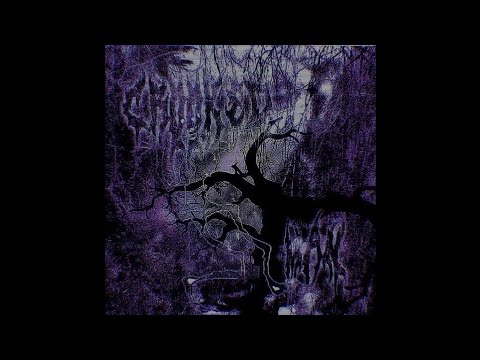 Dream Killer - DJ MASSACREMANE