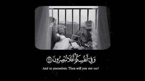 القارئ اسلام صبحي/ وفى أنفسكم أفلا تبصرون👁️